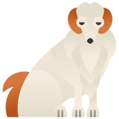 Borzoi