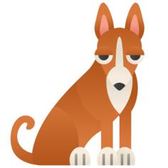 Basenji
