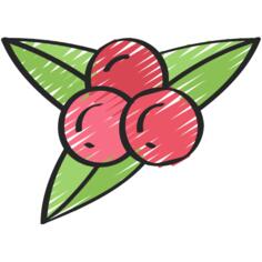 Berries