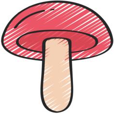 蘑菇