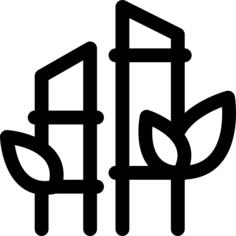 Bamboo