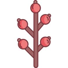 Branch