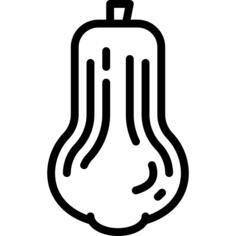 Butternut squash