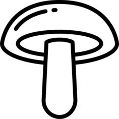 蘑菇