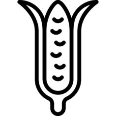 Corn