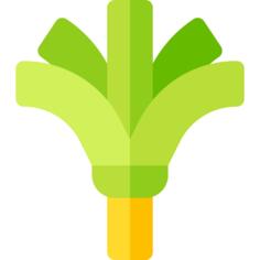 绒球