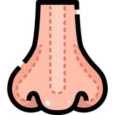 Rhinoplasty