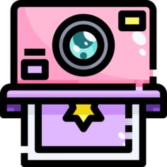 Polaroid