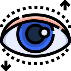 眼睛