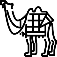 Camel