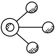 Network