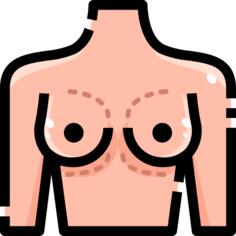 乳房
