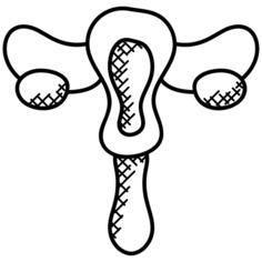 阴道