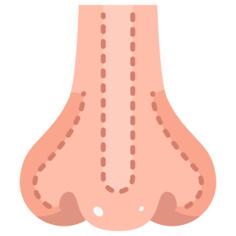 Rhinoplasty