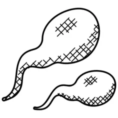 Sperms