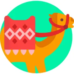 Camel