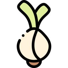Onion