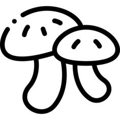 蘑菇