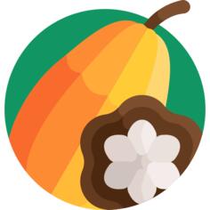 Cacao