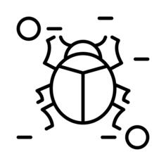 甲虫
