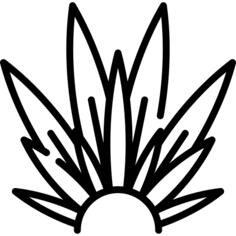 Feathers