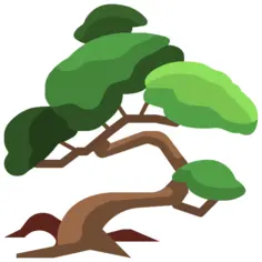 Bonsai