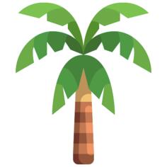 Coconut tree