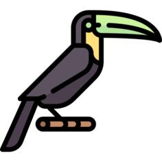 Condor