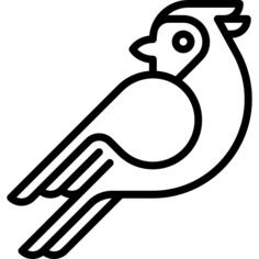 红衣主教