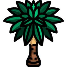 Palm tree