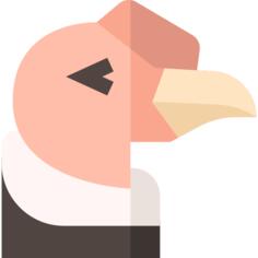 Condor