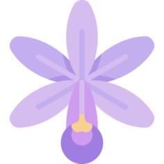 Orchid