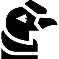 Condor