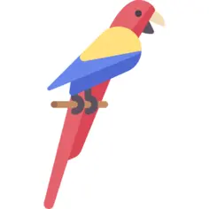 Parrot