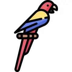 Parrot
