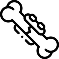 Bone
