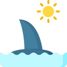 Shark