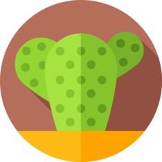 仙人掌
