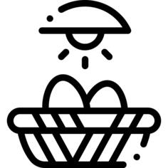 Eggs