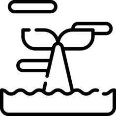 Whale