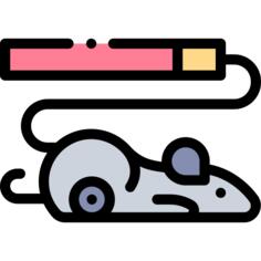 Mouse toy