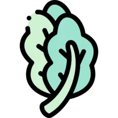 羽衣甘蓝
