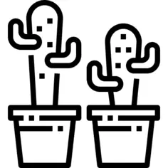 Cactus