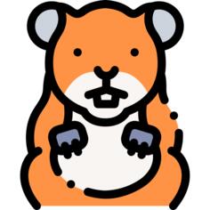 Hamster