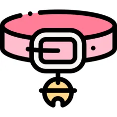 领