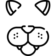 过滤