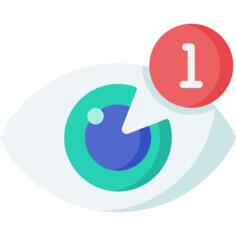 眼睛