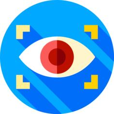 眼部扫描