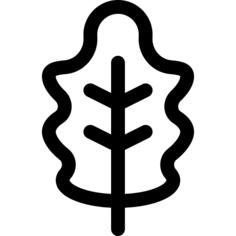 橡树叶