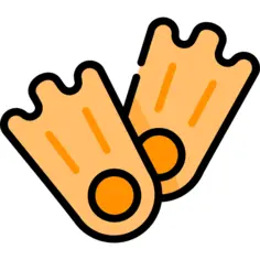 Flippers